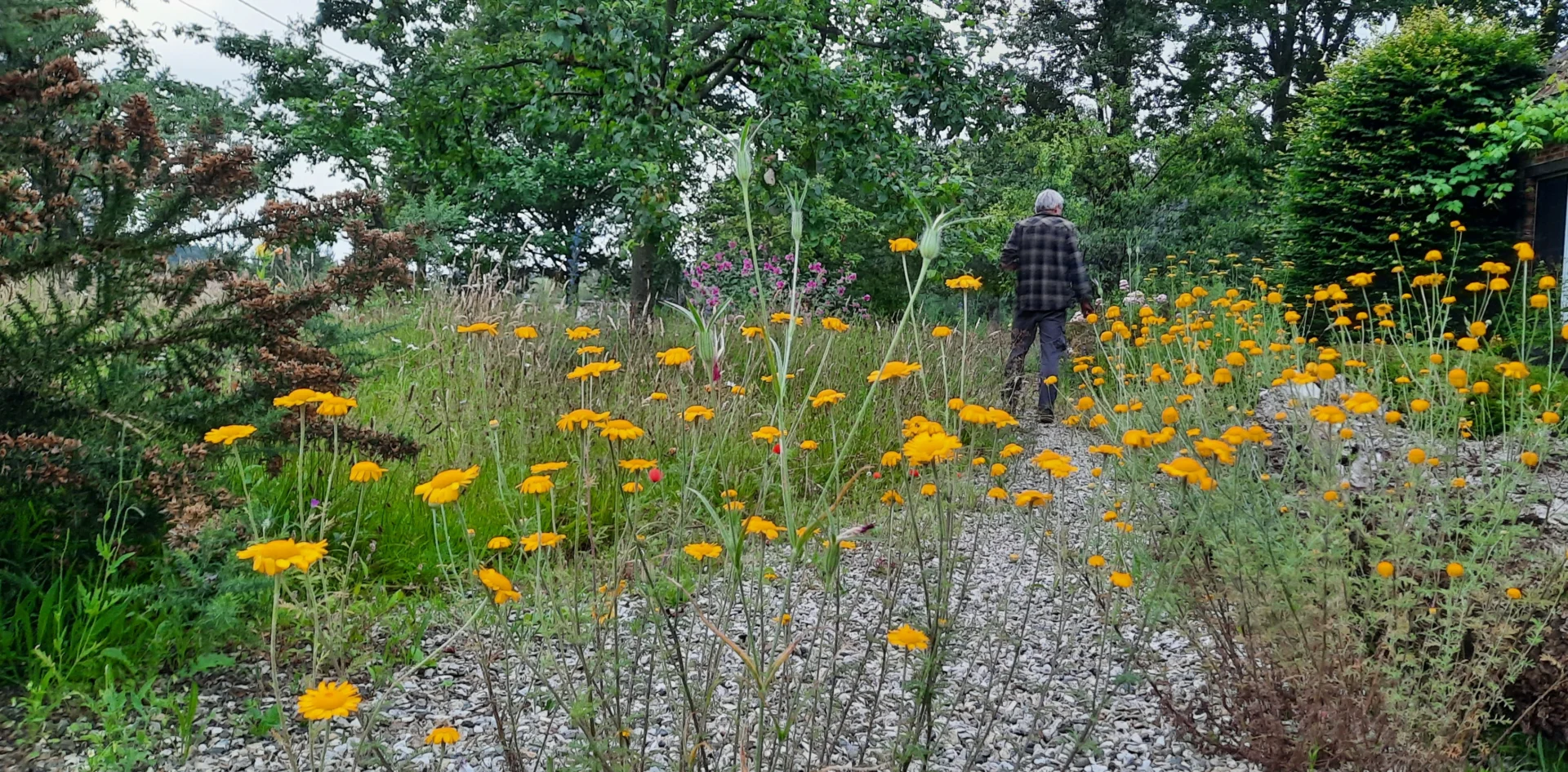 Vrije Stijl - Natuurrijke tuinen