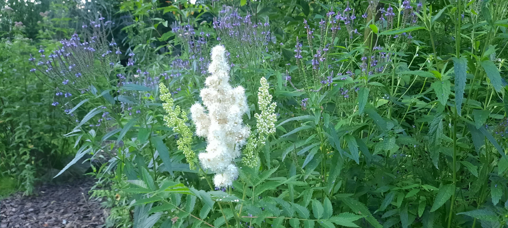Vrije Stijl - Natuurrijke tuinen