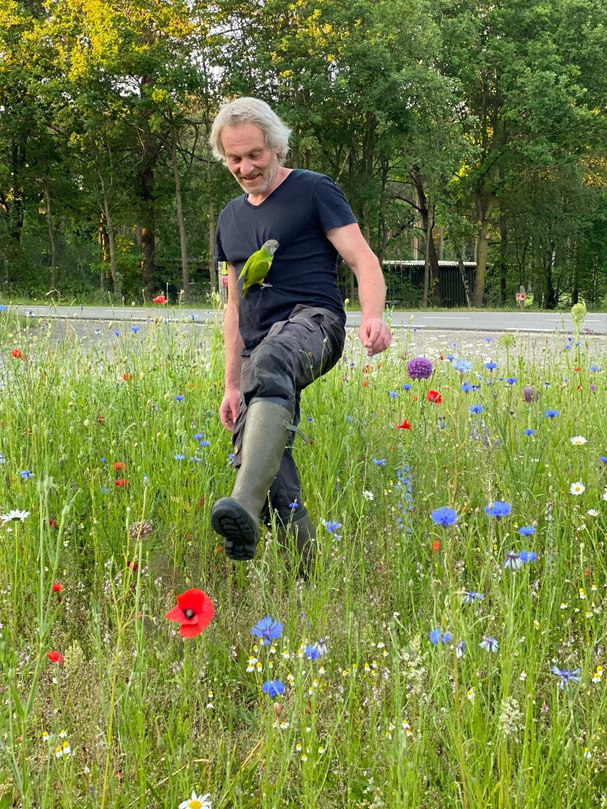 Vrije Stijl - Natuurrijke tuinen
